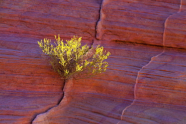 Landscapes of Valley of Fire State Park, NV