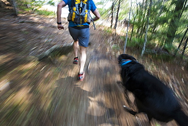 A fast pace run through the woods