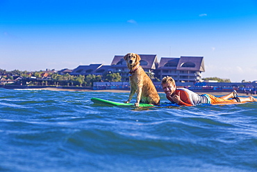 Surfer with a dog on the surfboard.