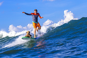 Surfer with a dog on the surfboard.