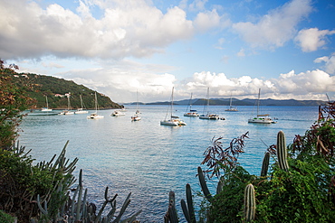 Sailboats anchored in a quiet cove of the Caribbean islands.