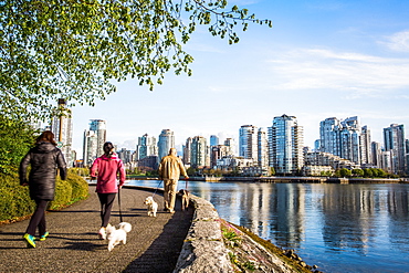 People walking dogs on a waterside trail with Vancouver skyline in the distance.