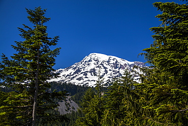 A view of Mount Rainier National Park, Washington, USA on a sunny day.