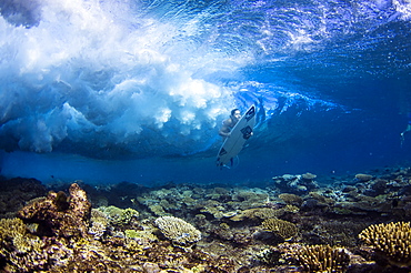 Professional surfer, Lucia Martiño, duck dives under a wave in the south atolls (Maldives)