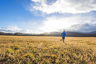 Runner in a blue shirt in a field with mountains in the background