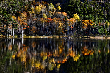 Fall colors in Acadia National Park, Maine.