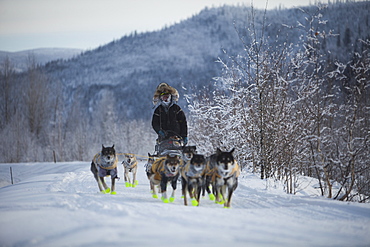 The Yukon Quest International Sled Dog Race is considerate by some to be the world?s toughest, and just finishing can be the reward. This year the start line was in Whitehorse, Yukon, where the 1,000 miles (1,600 kilometres) of trail follow the old trav