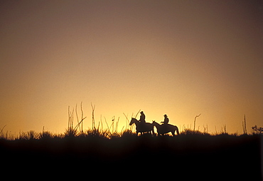 Horseback riders silhouetted against the setting sun, West Texas.