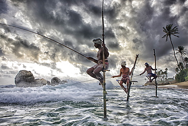 Stilt fishermen, Sri Lanka, traditional stilt fisherman at Kogalla, Sri Lanka, Sri Lankan stilt fishing