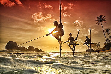 Stilt fishermen, Sri Lanka, traditional stilt fisherman at Kogalla, Sri Lanka, Sri Lankan stilt fishing