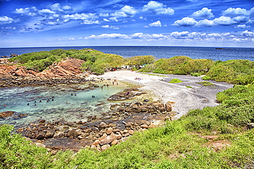 Group of tourists playing in the sea. Pigeon Island National Park. Sri Lanka