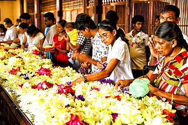 Sri Lanka - Kandy, Temple of the Tooth, Sri Dalada Maligawa, Buddhist shrine, UNESCO World Heritage Site