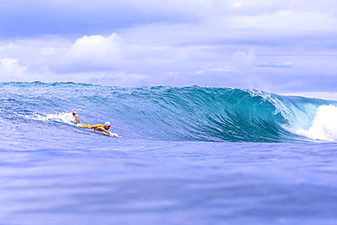 Surfer on a wave.