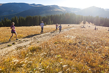 Friends run together through a meadow on a track towards Elk Ridge, White River National Forest, Colorado.