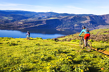 Two young women ride mountain bikes on single-track trail through a meadow with volcano in distance.