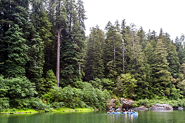 Long Exposure Of Kayakers On Smith River In Redwoods National Park