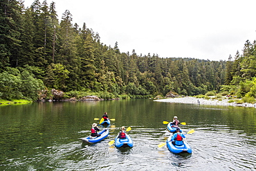 A Group Of Kayakers Kayaking On Smith River In Redwoods National Park