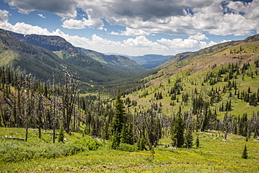 The Continental Divide In Backcountry Montana