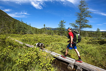 Man Walking On Boardwalk With His Dog While Hiking In White Mountains