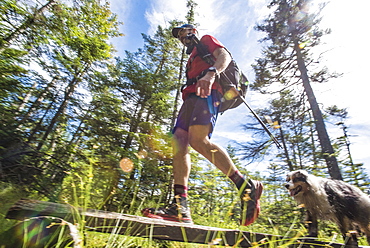 Low Angle View Of Man And Dog Walking On Boardwalk While Hiking In Forest