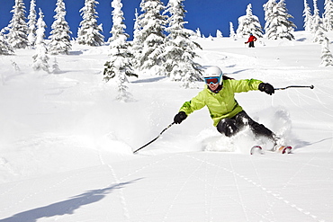 Female Skier Skiing On Fresh Powder At Whitefish Mountain Resort In Whitefish, Montana, Usa