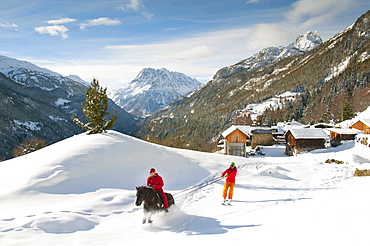 Skijoring Is A Winter Sport Where A Person On Skis Is Pulled By A Horse