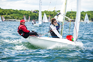 Junior Sailors Competing As Part Of A Regatta On Narragansett Bay