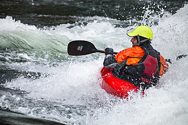 Male Surfer On The Wave Of The Alberton Gorge Section Of The Clark Fork River