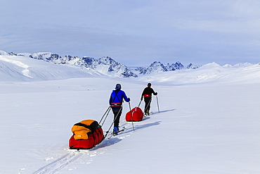 Mountaineering Team Pulling Pulk Sleds On The Way To The Stauning Alps