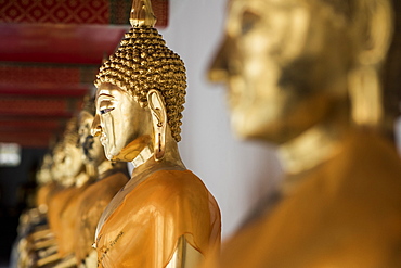 Row Of Golden Buddha Statues At The Wat Pho Temple, Bangkok, Thailand