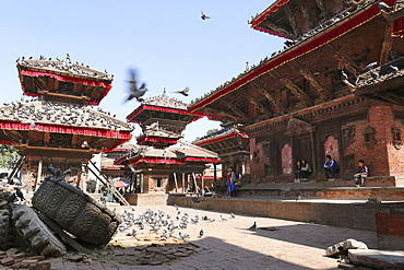 Pigeons On The Durbar Square Of Kathmandu