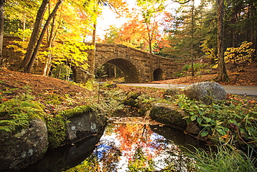 Road Bridge, Acadia National Park, Maine