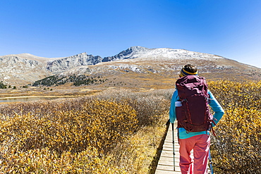 Female Hiker Walking On Boardwalk Beneath Mount Bierstadt In Colorado