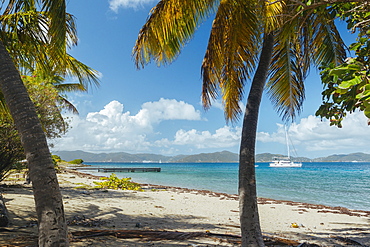 Scenic View Of Beach Scene On Caribbean Salt Island, British Virgin