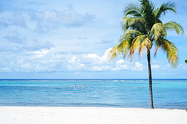 Two People Stand-up Paddleboarding In Oil Nut Bay, British Virgin Islands