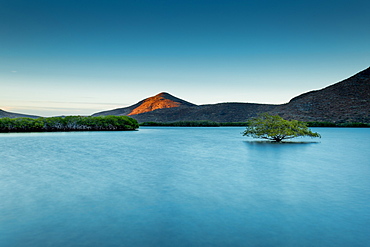 View of coastal bay and foliage