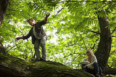 Mature man walks along tree limb, foliage