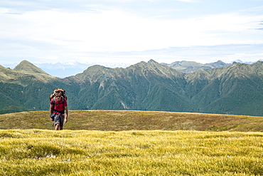 Hiking In Kahurangi National Park, New Zealand