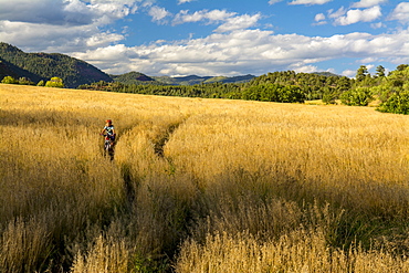 Young girl riding mountain bike through a grass field in Falls Creek