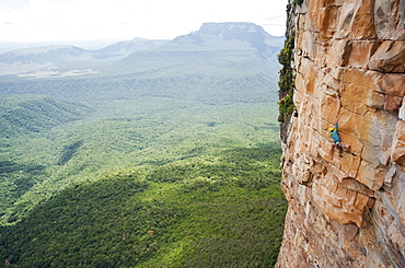 Nicolas Favresse climbing. Apichavai 8a+ - 500 meters high - Venezuela expedition "jungle jamming" to Amuri tepuy and Tuyuren waterfalls, with Nicolas Favresse, Sean Villanueva, Stephane Hanssens and Jean louis Wertz. The team free climb to new climbingroutes on the Tepuy, which is 3 days of walk to the village of Yunek near Santa helena and the salto angel(canaima).