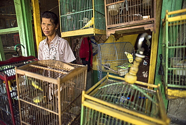 A Caged Bird Vendor At The Pasar Ngasem Bird Market Of Yogyakarta, Java, Indonesia