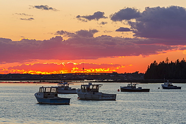 Lobster Boats In The Harbor At Sunset, Beals, Maine