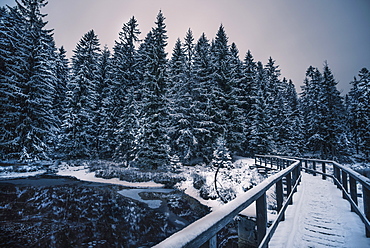 A snow covered bridge leads across the Fichtelsee lake into a spruce forest in the Fichtelgebirge mountain range in Bavaria, Germany.