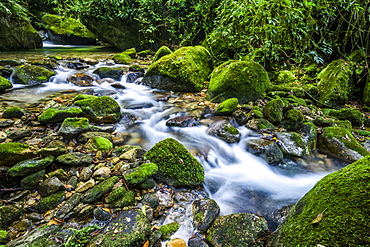 Atlantic Rainforest river in Serrinha do Alambari Ecological Reserve, Rio de Janeiro, Brazil