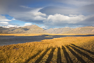 Long shadows of persons raising their hands projected on yellow grass with mountains and clouds. Photographed in golden light before sunset.