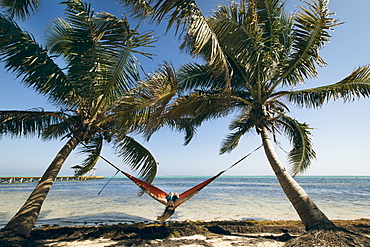 A Young Woman in a hammock is framed by two palm trees