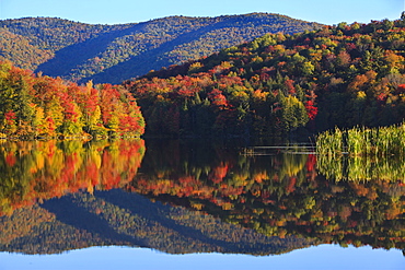 Peak New England foliage is mirrored in the water of Kent Pond in Killington, Vt.