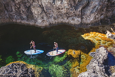 Couple rows on their surfboards in a beautiful sea