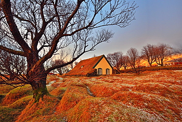 Hofskirkja turf-roofed church and gravemounds in winter light, Iceland