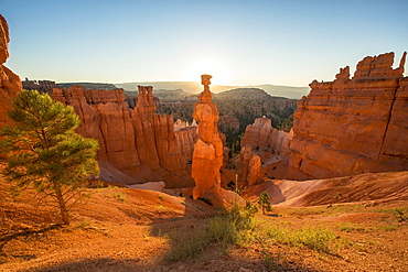 Thor's Hammer in Bryce Canyon National Park at sunrise.